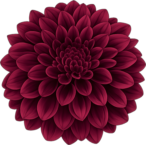 Dinnerplate dahlia