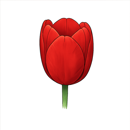 Tulip